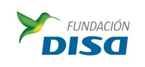 LogoFundacionDisa